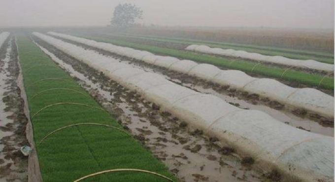 venda por atacado da tela não tecida