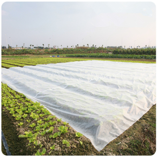 Tela de tecelagem não de China usada na agricultura
