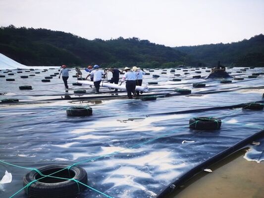 1.5mm HDPE Geomembrane Liner com resistência química especializada para Mining Heap Leach Pads
