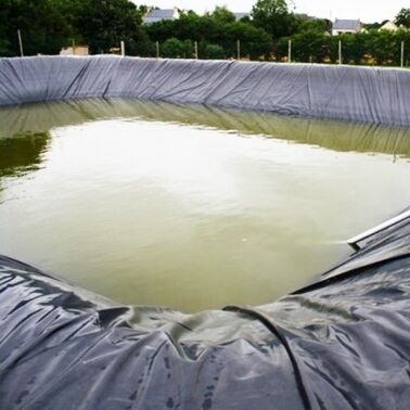 Forro agrícola da lagoa da exploração agrícola do forro durável da geomembrana do HDPE para a criação segura da cultura aquática