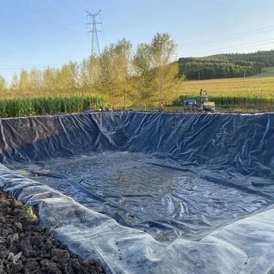 Forro resistente da geomembrana do HDPE da mineração para a barragem de rejeitos e a bacia Waste da pasta