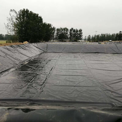 Forro de geomembrana HDPE preto para lagos de camarão e peixes de água salgada