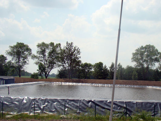 Tempo de vida 10 anos lago de peixe verde e durável