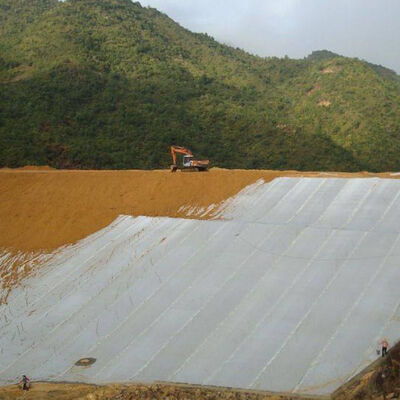 High Strength Continuous Filament Pet Non Woven Geotextile For Roadbed Reinforcement