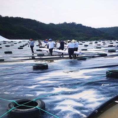 Low Permeability Black HDPE Geomembrane Liner for Secondary Containment Systems