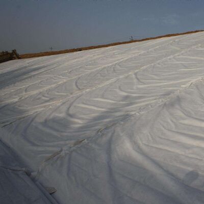 Agulha de fibra curta de poliéster perfurada Geotextil não tecido para reforço de pavimento