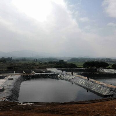 Forro agrícola da lagoa da exploração agrícola do forro durável da geomembrana do HDPE para a criação segura da cultura aquática