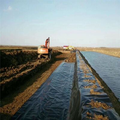 Revestimento de geomembrana em HDPE seguro para peixes para reservatórios de irrigação agrícola em lagoas