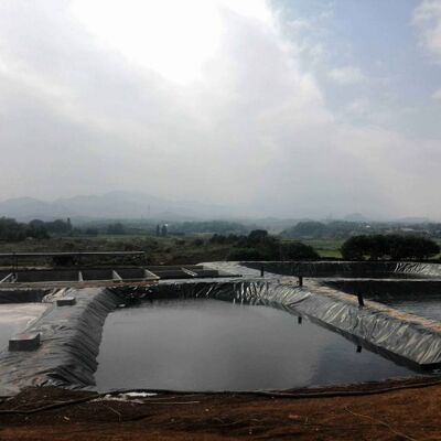 Revestimento de geomembrana em HDPE seguro para peixes para reservatórios de irrigação agrícola em lagoas