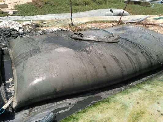 Tubos de desaguamento de geotextil tecidos resistentes a altas temperaturas para desaguamento de lodo de óleo de palma