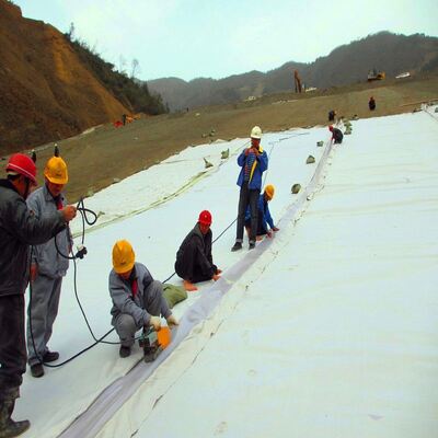 Underlayment não tecido perfurado agulha do coxim do geotêxtil para forros da lagoa