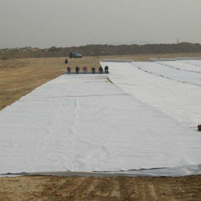 Underlayment não tecido perfurado agulha do coxim do geotêxtil para forros da lagoa