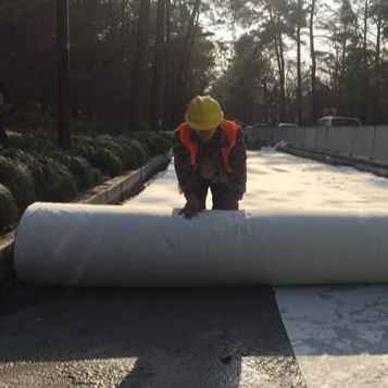 Underlayment não tecido perfurado agulha do coxim do geotêxtil para forros da lagoa