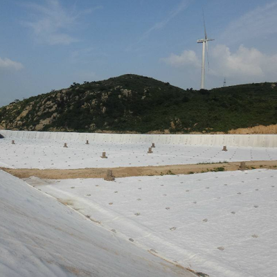 Esteira não tecida resistente da proteção do geotêxtil da fibra curta resistente da punção para a defesa da inclinação da terraplenagem do rio