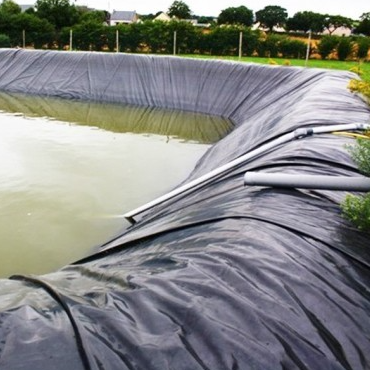 Folha impermeável do forro da geomembrana do HDPE da barreira da raiz para a isolação comercial do jardim do telhado
