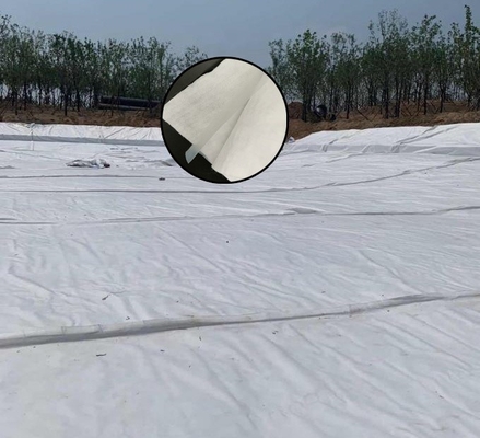 Isolamento composto da construção do túnel do tráfego de Geomembrane da tela não tecida