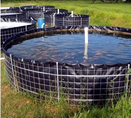 Espessura de superfície lisa 0.2~3mm do forro do PVC Geomembrane para a alimentação de peixes do camarão