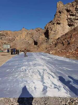 Tecido Geotêxtil Tecido com 5,2m de Largura Oferecendo Resistência à Tração de 50KNm a 1200KNm e Resistência à Perfuração CBR de 12KN ou Mais Aplicado em Reforço de Taludes