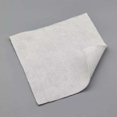 Geotêxtil de Fibra Estapulada de PP Ecológico Não Tecido para Controle de Erosão Costeira